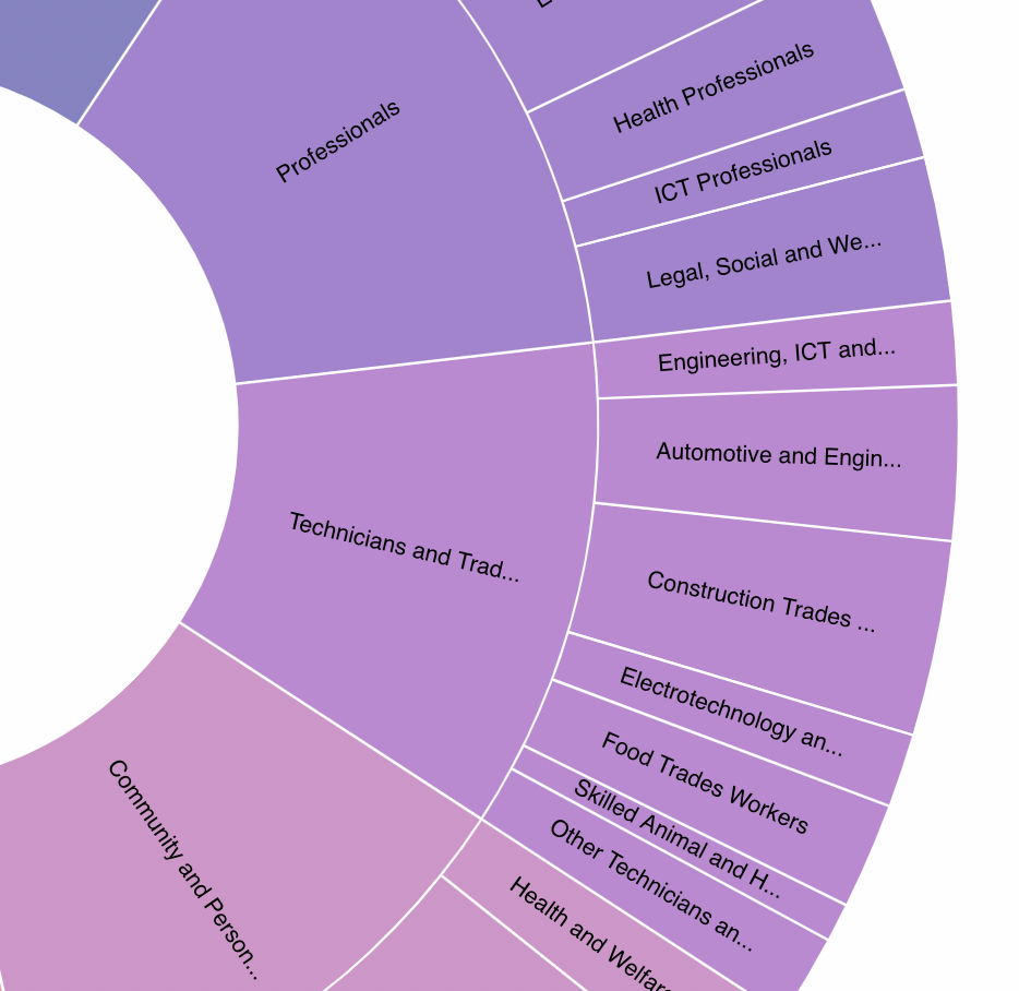 Close up of a sunburst data visualisation of different jobs